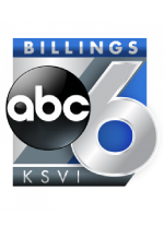 creative roofing marketing on abc 6