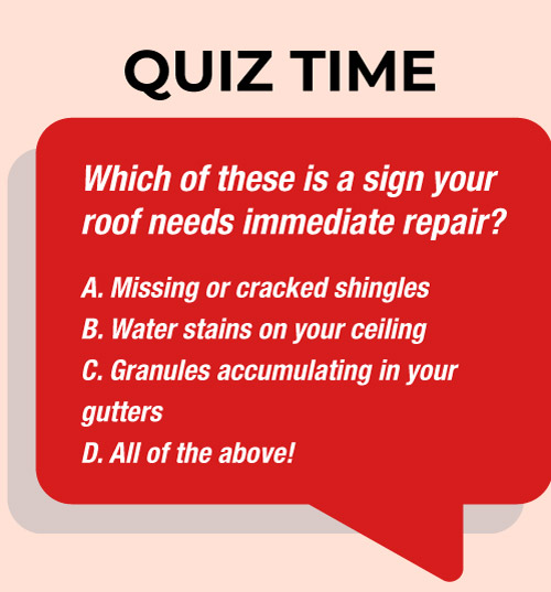 interactive roofing content pieces are memorable, engaging, and encourage visitors to stay longer on your site.