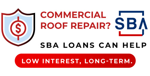 Small Business Administration (SBA) loan programs are primarily designed for business owners